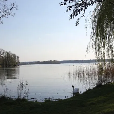 K8 - Am Kurpark - Therme Appartement